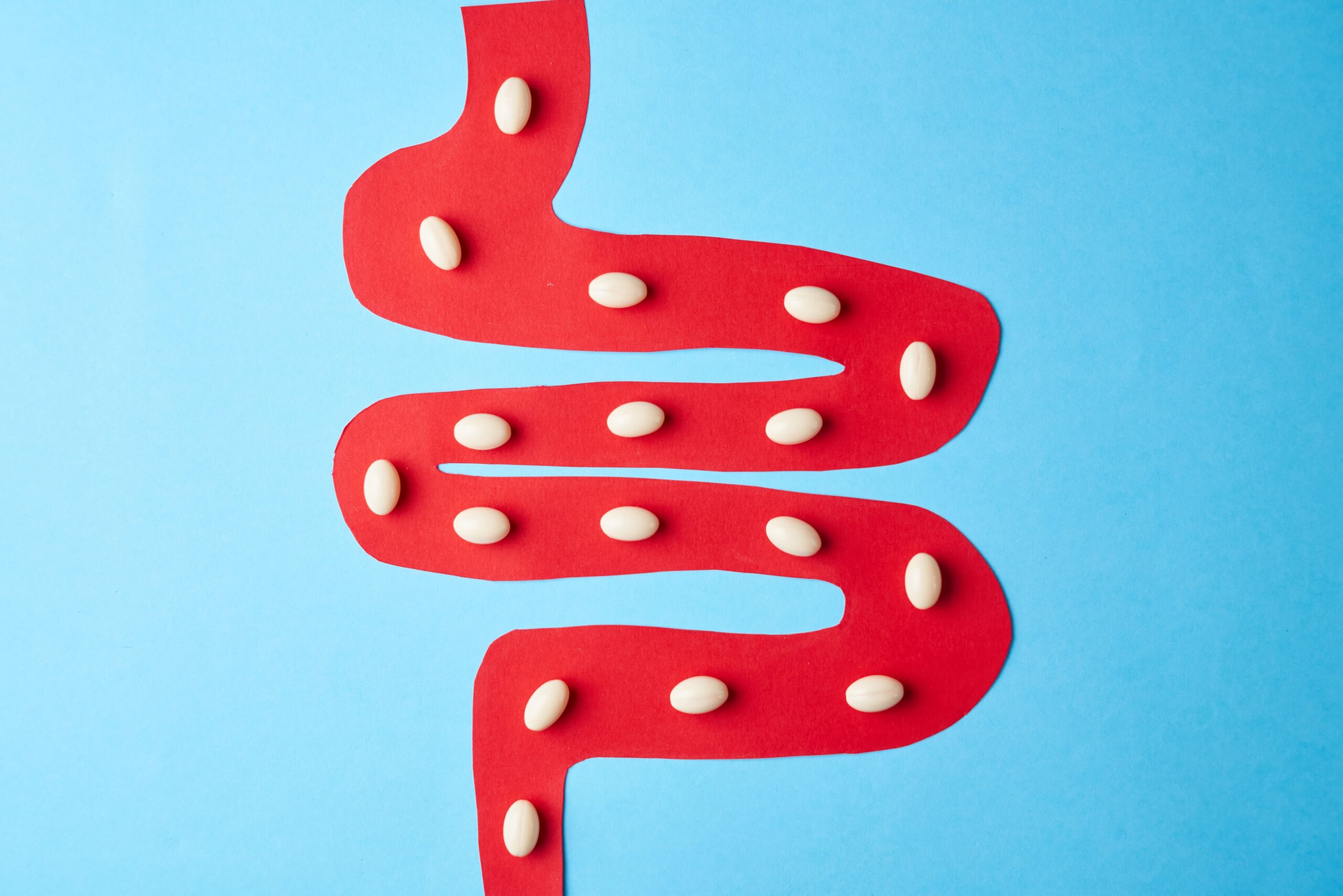 6 benefícios comprovados dos lactobacilos vivos na saúde infantil