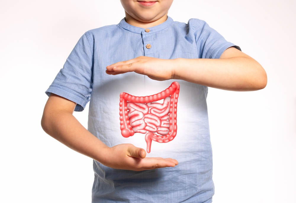 4 mitos sobre saúde intestinal que você precisa parar de acreditar, segundo nutricionista
