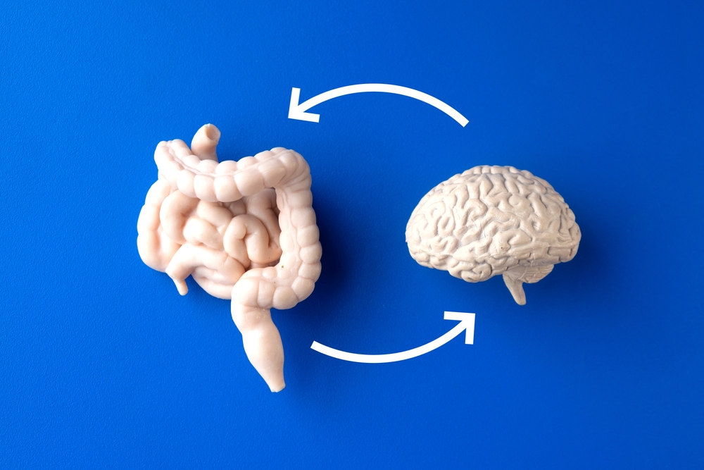 O eixo intestino-cérebro: como a saúde intestinal molda a saúde mental infantil?